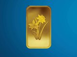 Daffodils Minted Bar Design